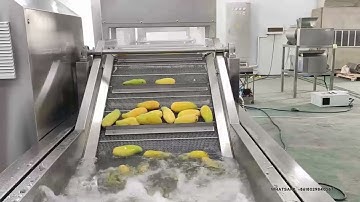 Mango Blanching & Mango Pulp Processing Machine