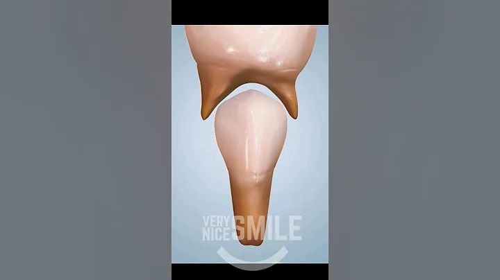 How do baby teeth fall out ? - DayDayNews