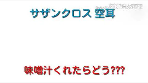 サザンクロス空耳