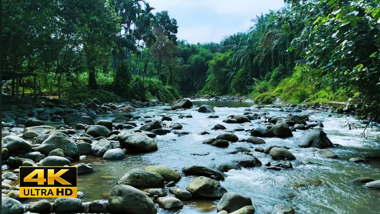 8 Hours of River Sounds at Night 🌙 Deep Sleep ASMR 4k