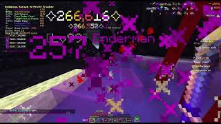Solo Tier 4 Voidgloom Seraph on Bingo | Hypixel Skyblock