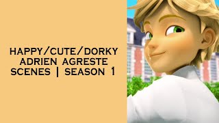 Happycutedorky Adrien Agreste Scenes S1 Miraculous Ladybug