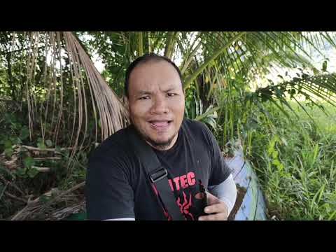 Video: Bagaimana Dokumentari Interaktif Mendedahkan Lapisan Tempat - Matador Network