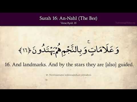 quran-16-surat-an-nahl-the-bee-arabic-and-english-translation-hd