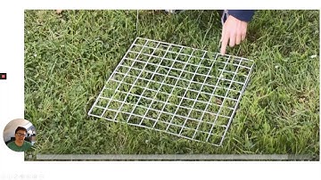 GCSE Biology Required Practical 9 - Quadrats and plant distribution