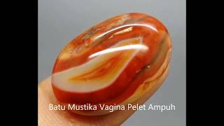 Batu Mustika Vagina Pelet Ampuh