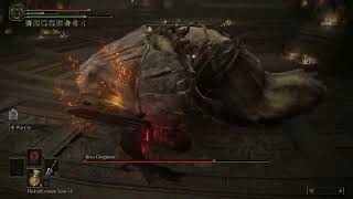 Elden Ring 2024 - Malekith vs Guts Build (Berserk) - No Hits -