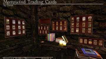 Morrowind Modding Interviews - Danae