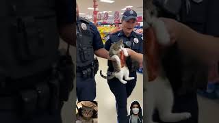 Cat Arrested For Stealing Meat Real Body Cam Footage