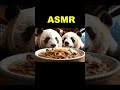 Nostalgic Panda ASMR | Panda Remembers the Past for Deep Relaxation #asmr #visualtingle #pandaasmr