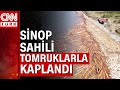 Sinop'ta selin denize taşıdığı 35 bin ton tomruk sahilden toplanıyor