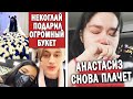 Некоглай и Тендерлибае встречаются? У Анастасиз снова беда