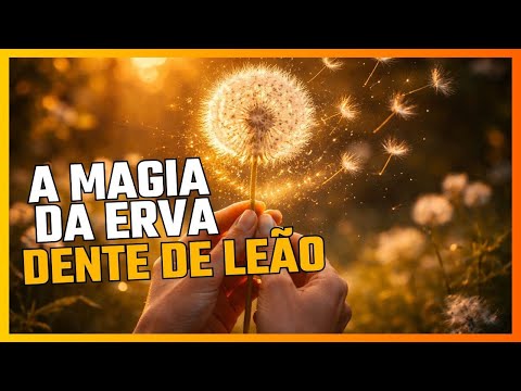 A Magia Da Erva Dente de Leão