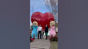 كشف جنس الجنين ولد لو بنت شوفو فرحه الام 