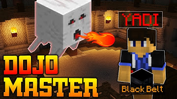 Dojo Black Belt Guide (S in every test)