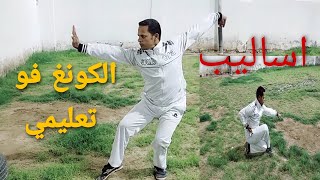 تعلم اخطر اساليب الكونغ فو اسلوب ملاكمة الشمالى (ووبو تشوان )تعليمي