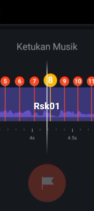 dj jedag jedug tik tok 29 detik