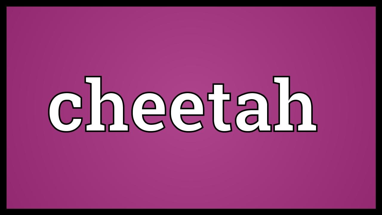 Cheetah Meaning - YouTube