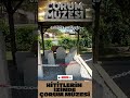 HİTİTLERİN İZİNDE | ÇORUM MÜZESİ |#hitit #museums #müzeler #çorum #keşfet #shorts #shortsyoutube