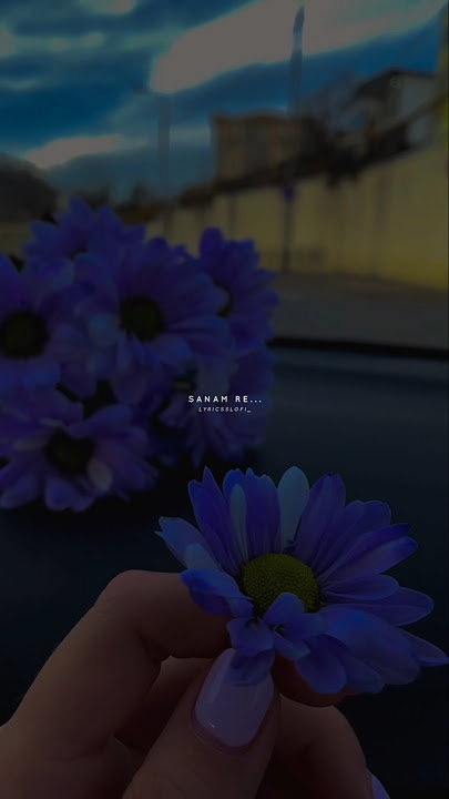 Sanam Re Sanam Re Tu Mera Sanam Hua Re Status❤️ | Lyrics Status | #lofi #shorts