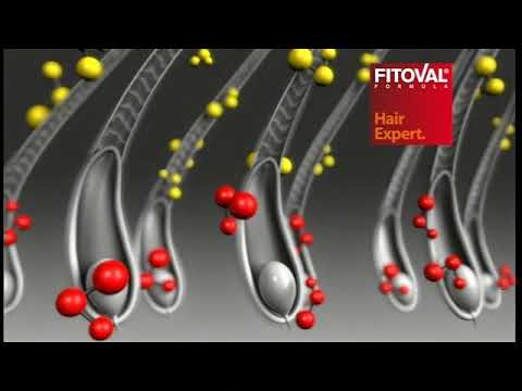 Video: Fitoval Shampoo Against Hair Loss - Instructions For Use, Reviews