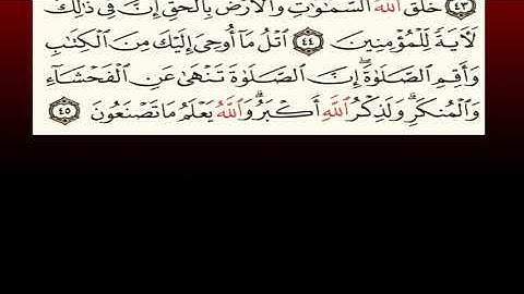 TAFSIIRKA:◇:سورة العنكبوت من ٤٤-٤٥:◇:SH:-MAXAMAD CABDI UMAL حفظه الله