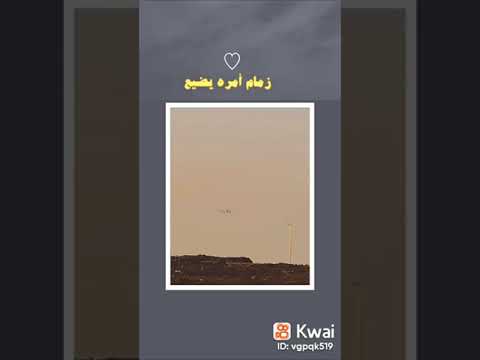 وشلون اوادع من معه قلبي وديع والسر من فرقاه ضاع صحيح من يفقد زمام امري يضيع 