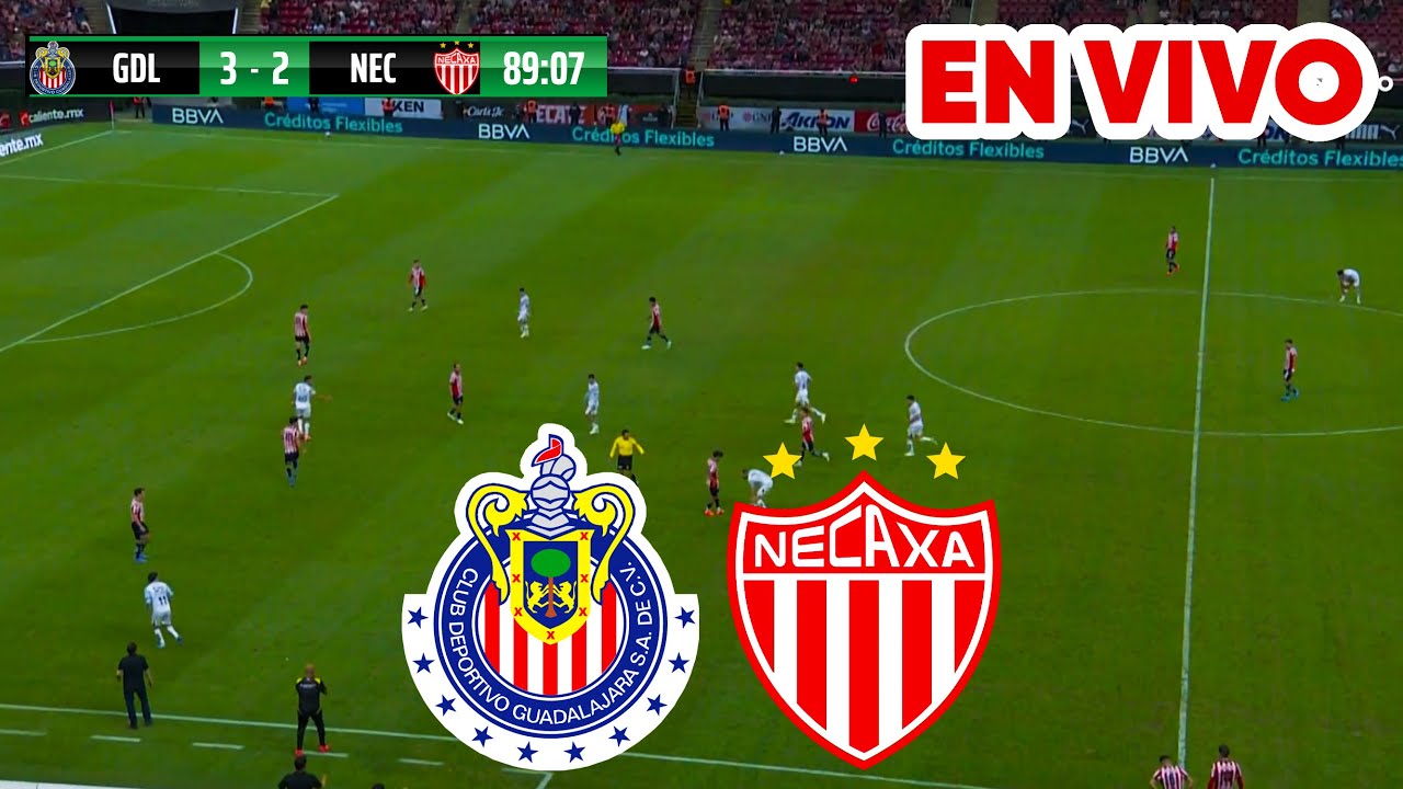🔴 CHIVAS VS NECAXA NARRACIÓN EN VIVO / LIGA MX APERTURA 2024 - YouTube