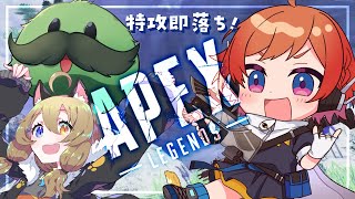 【#APEX 】初心者特攻えぺコラボ！【にゃかみ / Vtuber】