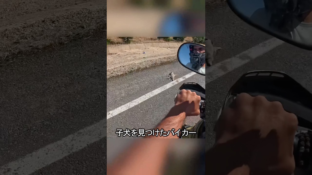 バイカーのとった行動に世界中が称賛