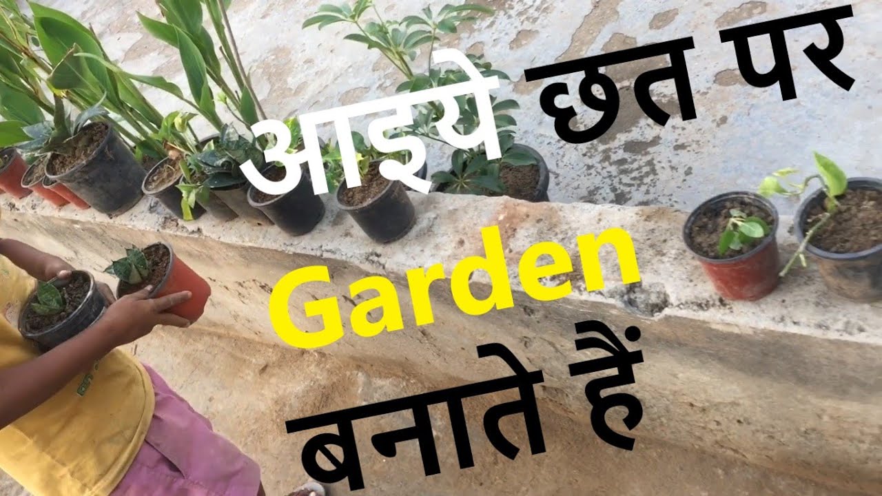 my terrace garden tour छोटे से छत मैं लगायें गमले Terrace garden