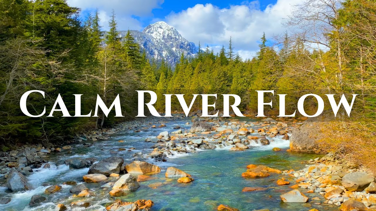 Gentle River Flow 🌿 8 Hours of Natural Water Sounds for Sleep, Relax & Focus