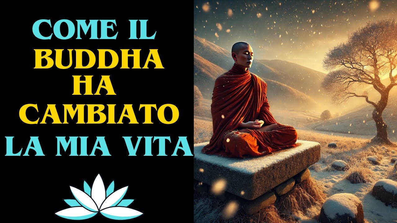4 CITAZIONI DEL BUDDHA CHE HANNO RIVOLUZIONATO LA MIA VITA E CHE ...