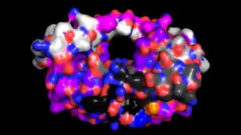 HIV Protease Movie HiRes