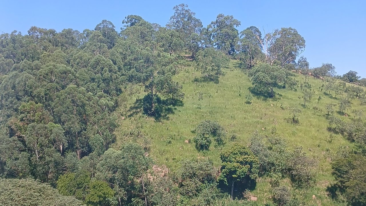 Organizamos tudo para receber material de construção + Cafe da Manhã e Almoço
