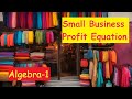Small Business Profit | Linear Equation in One Variable | Algebra 1