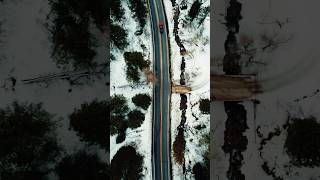 Get A Cardo Its An Experience  A Feeling If You Know You Know