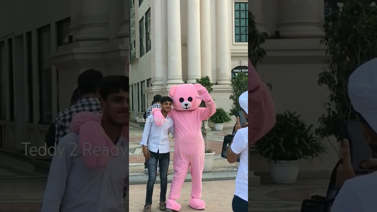 Pink Teddy Viral Short Video 