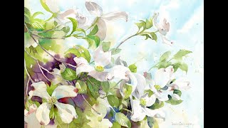Dogwood Blossoms in Watercolor