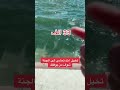 تخيل انك تشي الى الجنة شوف من يوقفك 