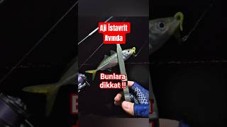 AJİ İSTAVRİT AVINDA DETAY!! #lrf #lightrockfishing #aji #ajing #fishing #balıkavı