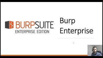 What is Burp Enterprise?? ​