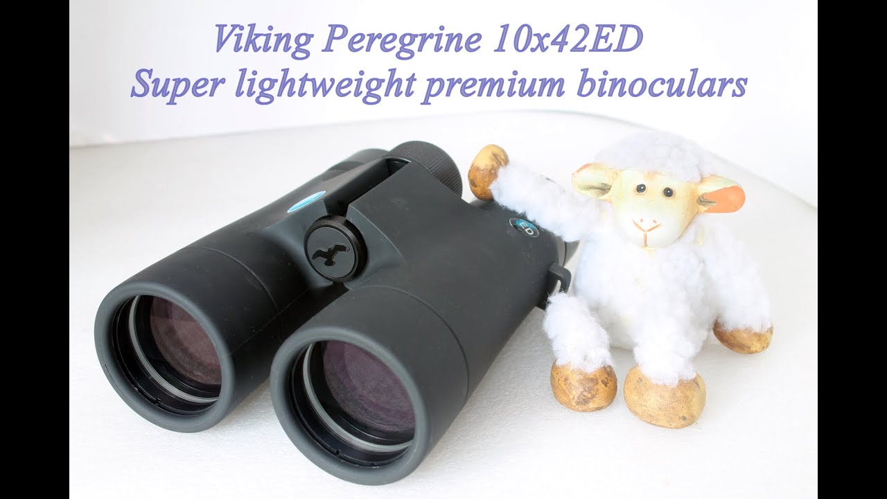 Binocolo Viking Osprey 10x42 ED – Impermeabile E Antiappannamento – Per Birdwatching E Caccia - Foto 3