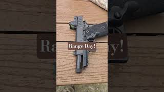 Scorpion Evo and my customized Ruger RXM