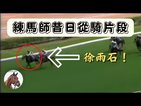 2016 香港カップ モーリス Hong Kong Cup Maurice - YouTube