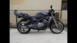 バリオス250(1型用) Z2タイプテール 新品