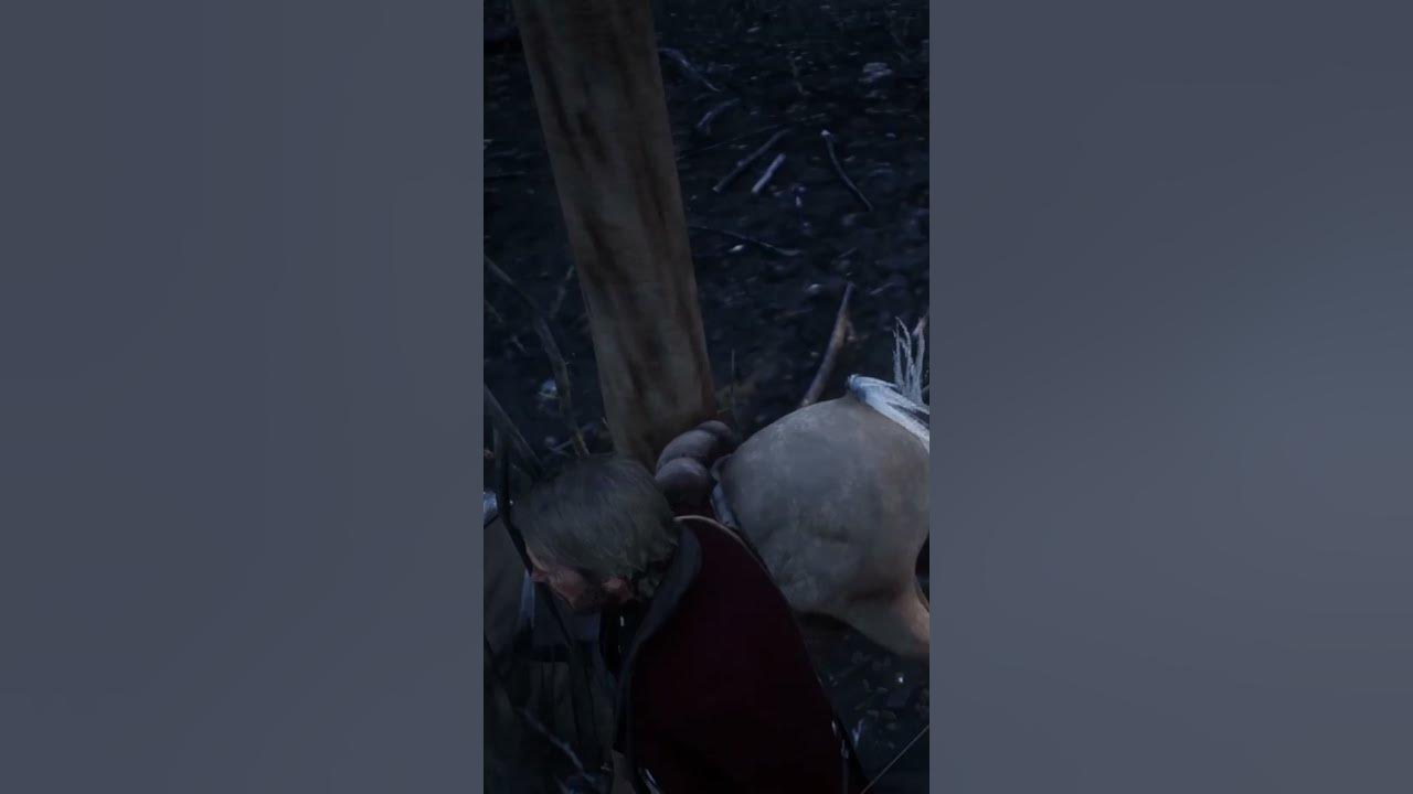 Spring Horse Riding My Horse is a Magician rdr2 YouTube