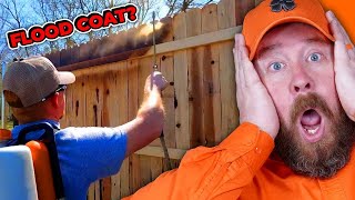 Is This Too Much Stain or Just Enough?  Fence Expert Reacts