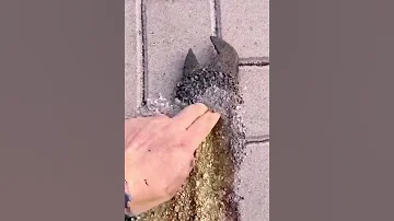 اشعار موسيقى اغاني اشعارحزينه Fyp 