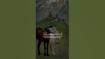 قران كريم القران الكريم  #اكسبلور#اكسبلور  #حالات_واتس#قرآن #تلاوة_خاشعة  #دويتو #فولو #راحة_نفسية